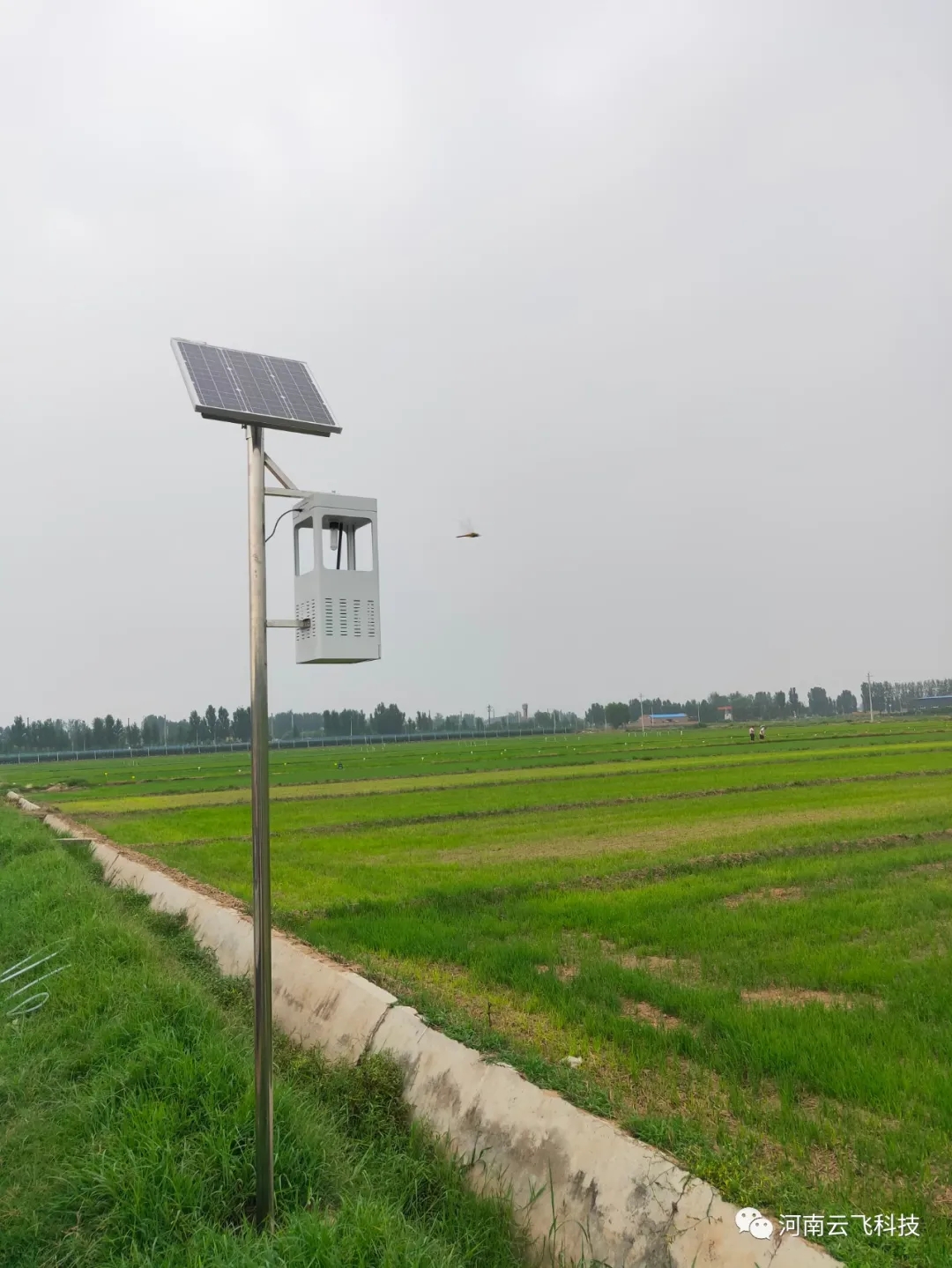 �L(f��ng)��ʽ���x��